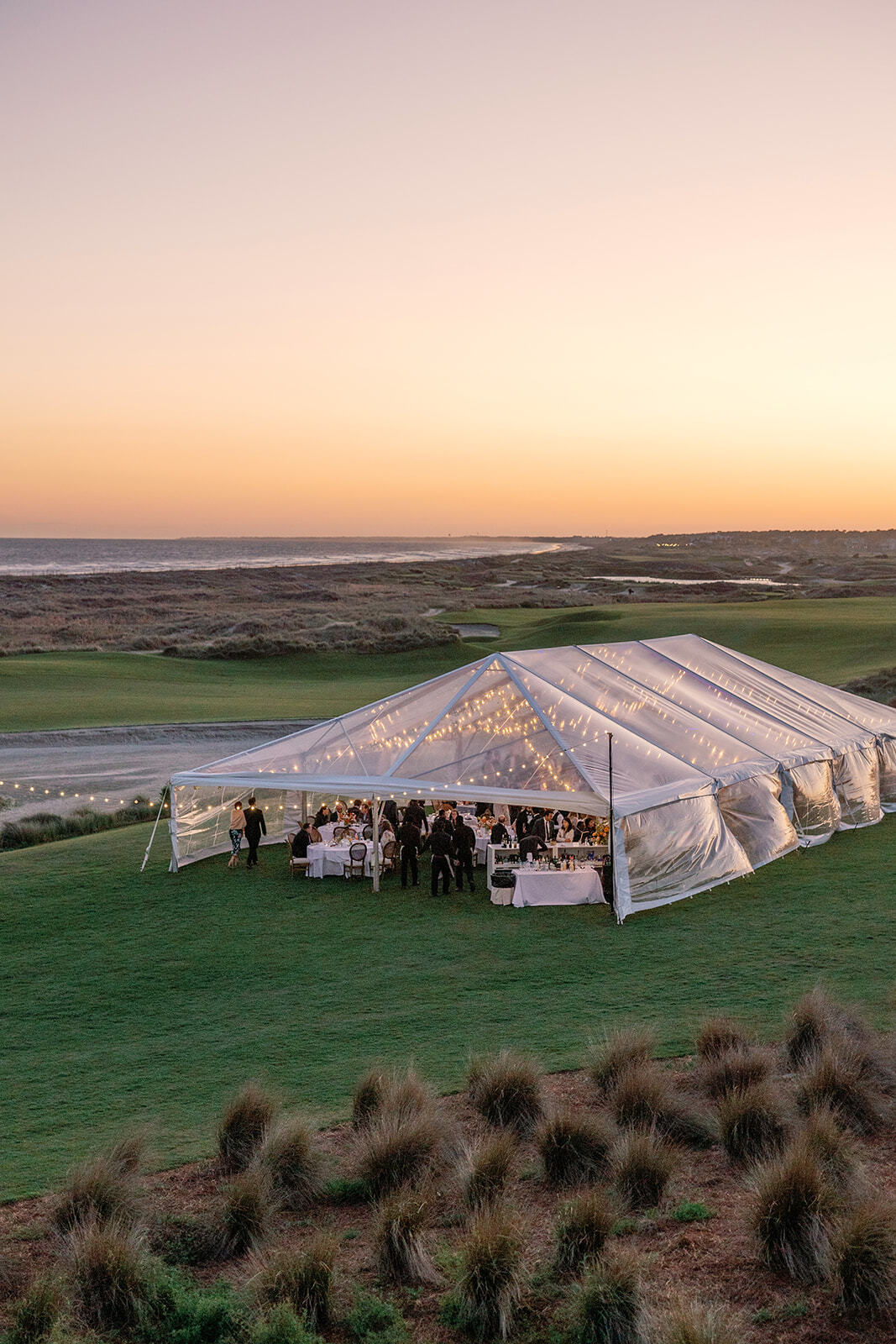 Reception 6998 websize wild cotton photog buttercup ocean course 40x85 clear
